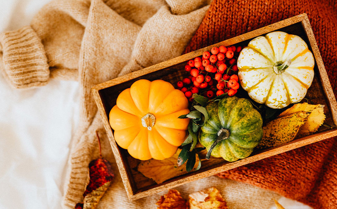Samedi 5 octobre – Grande Vente d’automne